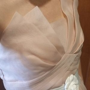 BGBG MaxAzria Runway Soft Pink Vintage dress SMALL